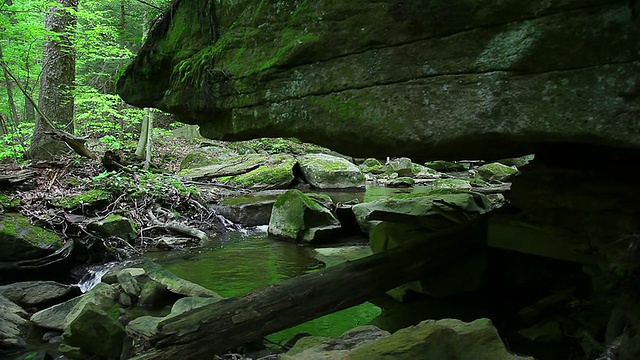 岩石下的峡谷里流淌着泉水视频素材