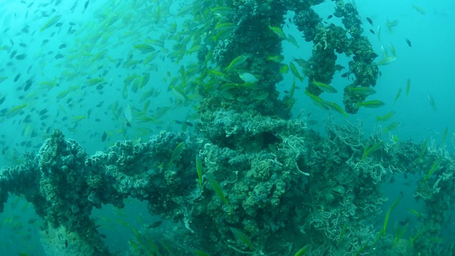 水下沉船视频素材