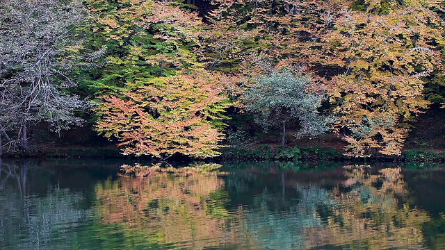 七湖(Yedigoller)，土耳其视频素材