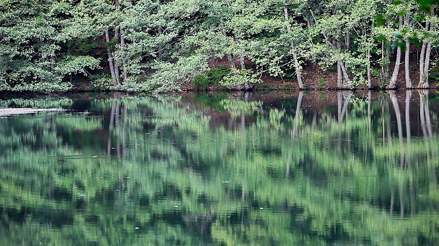 七湖(Yedigoller)，土耳其视频素材