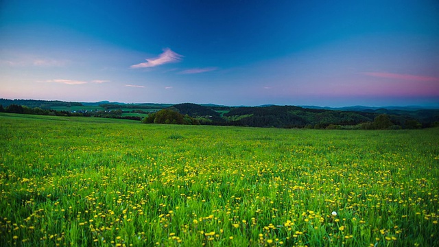 鹤起来:野花草地视频素材