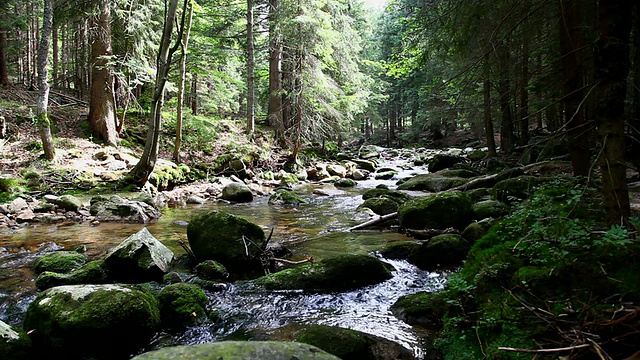 高山流水视频素材