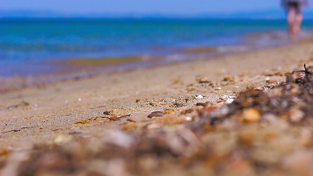 在海滩上散步视频素材