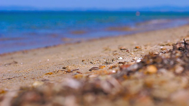 在海滩上散步视频素材