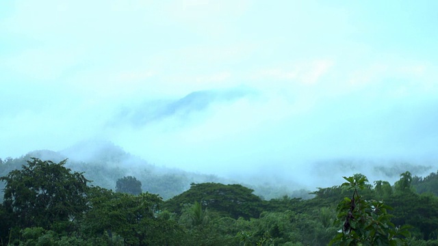 山上的雾视频素材