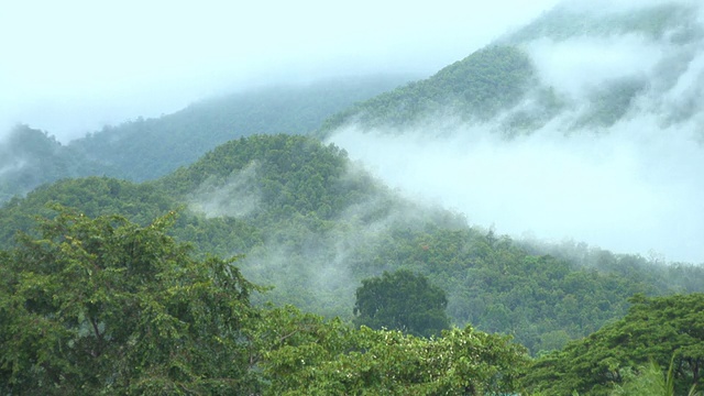 山上的雾视频下载