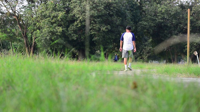 老年人在公园散步视频素材