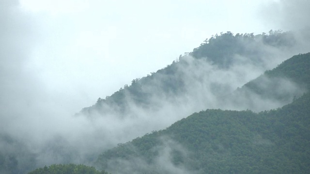 山上的雾视频下载