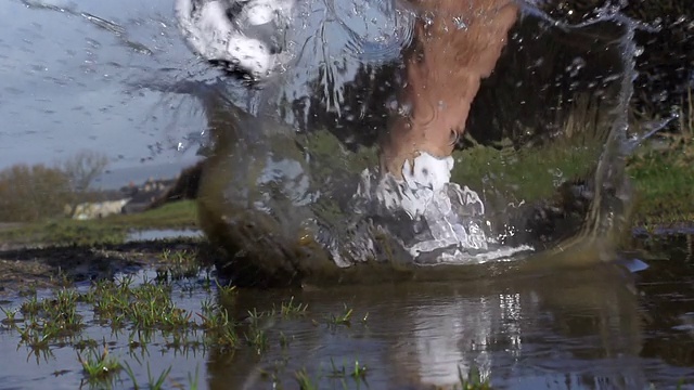 超级慢动作:慢跑过水坑(水花)视频素材