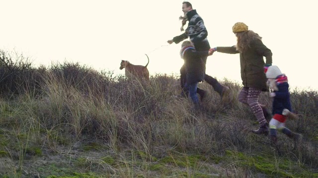 一家在山上遛狗视频素材