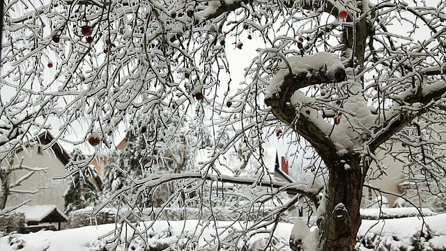 高清:雪和扫雪机的背景视频下载