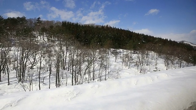 开车过去被白雪覆盖的视频素材