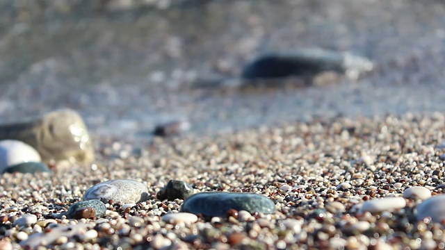 海滩vawes视频下载