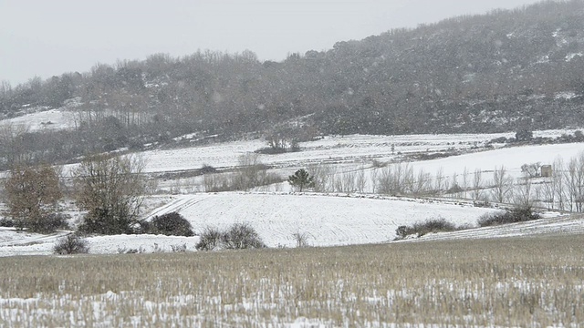 现场正在下雪视频素材