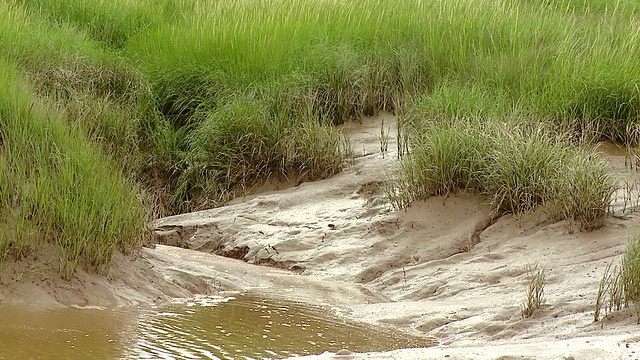 堤防为防止涨潮的水淹没地球而建造的堤坝视频素材