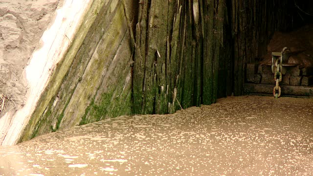 堤防为防止涨潮的水淹没地球而建造的堤坝视频素材