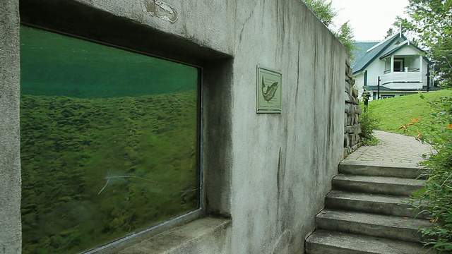 一个水族馆建在一个公园的混凝土结构视频素材