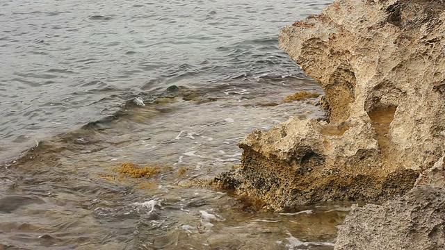 海岸线波浪与海洋植物-健康的海藻马略卡岛视频下载