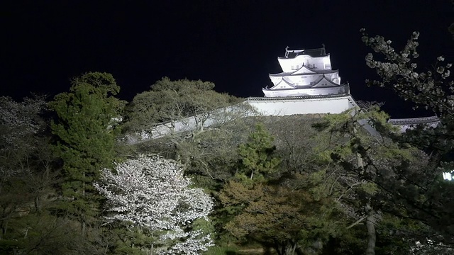 姬路城和樱花点亮视频素材