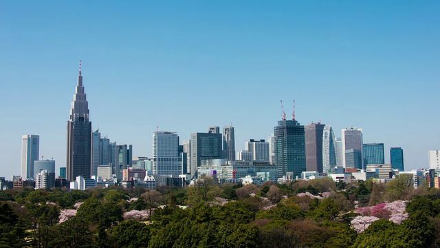 Timelapse Shinjuku Buildings和Shinjuku Gyoen的春天视频素材