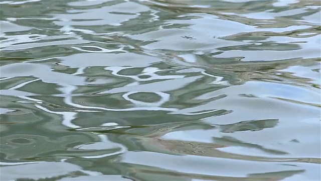 水视频素材