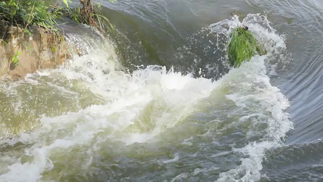 树枝、树和水。视频素材