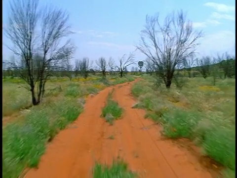 汽车视角蜿蜒穿过灌木丛/澳大利亚北部地区的红土公路视频素材