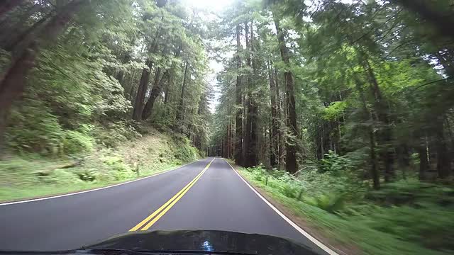 加州北部沿海地区的一条乡村公路，有太平洋和红杉树。视频素材