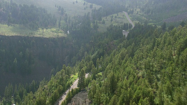 MS航拍交通通过森林地区的道路上移动/怀俄明州，美国视频素材