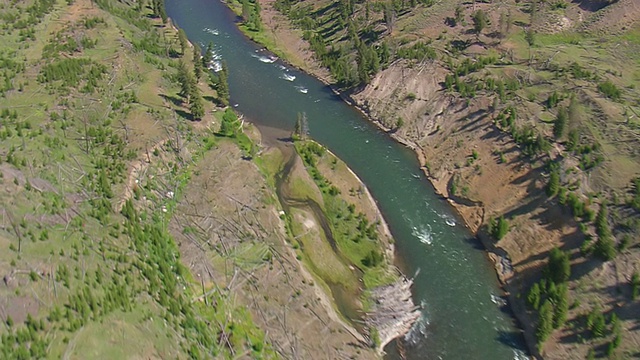 MS AERIAL TS View over Yellowstone River and broken forest /怀俄明州，美国视频素材