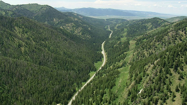 WS AERIAL TS与树群平行的道路视图/怀俄明州，美国视频素材