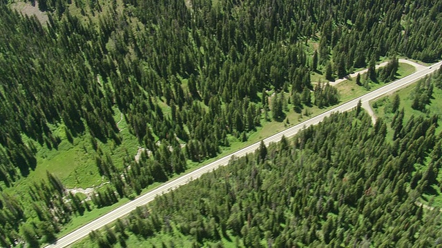 WS AERIAL TS与树木平行的道路视图/怀俄明州，美国视频素材