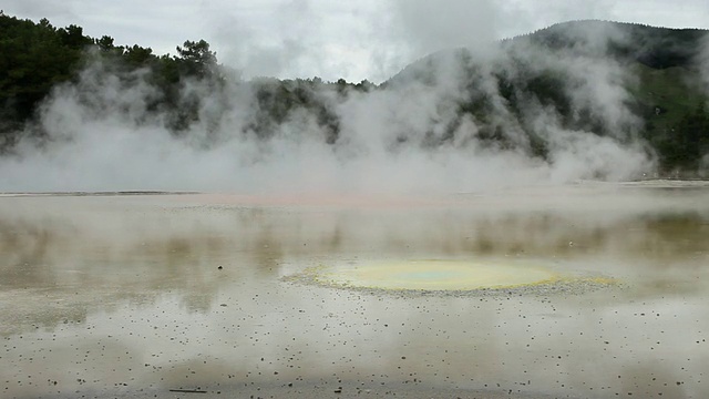 MS Shot of Rotorua喷泉/ Rotorua，新西兰视频素材