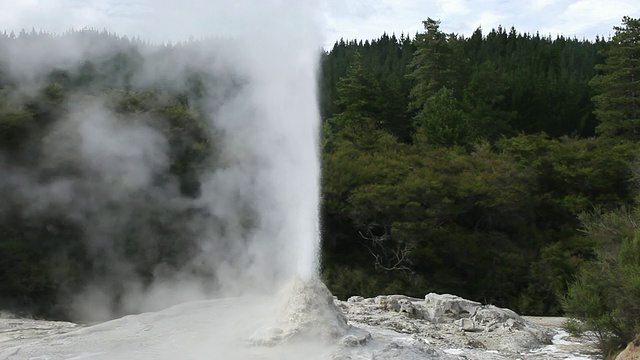 MS Shot of Rotorua喷泉/ Rotorua，新西兰视频素材