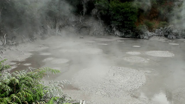 MS Shot of Rotorua喷泉/ Rotorua，新西兰视频素材