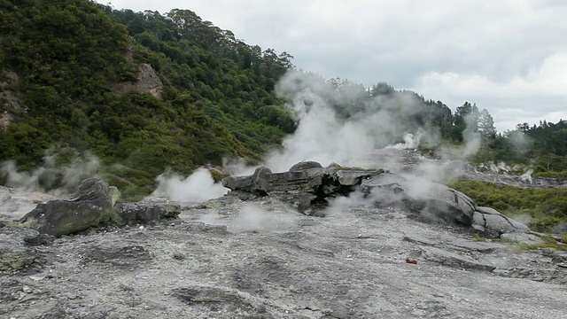 MS Shot of Rotorua喷泉/ Rotorua，新西兰视频素材