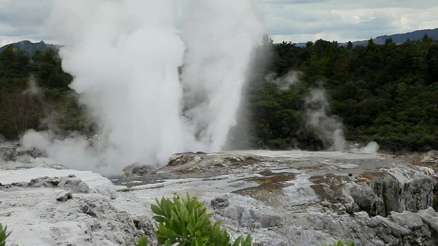 MS Shot of Rotorua喷泉/ Rotorua，新西兰视频素材