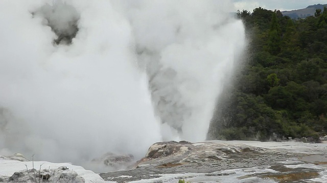 MS Shot of Rotorua喷泉/ Rotorua，新西兰视频素材