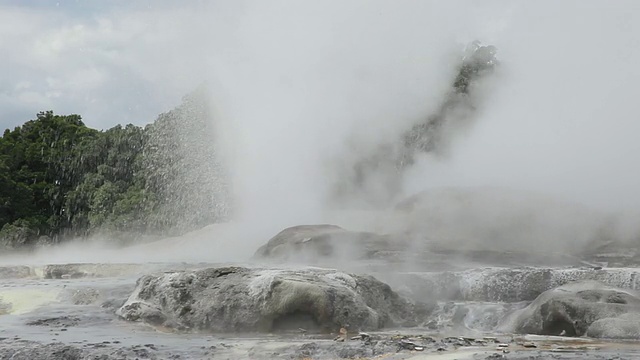 MS Shot of Rotorua喷泉/ Rotorua，新西兰视频素材