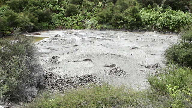 MS Shot of Rotorua喷泉/ Rotorua，新西兰视频素材