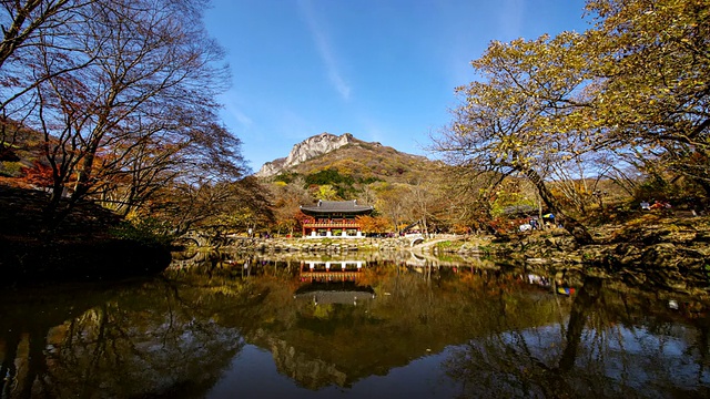 WS T/L韩国全罗南道长城白羊山寺双回楼(传统韩国建筑)的秋景视频素材