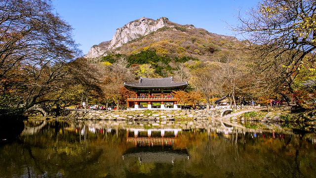 WS T/L韩国全南道Jangseong的白羊山寺，双回楼(传统韩国建筑)被池塘包围的秋景视频素材