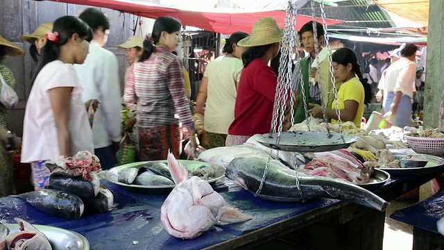 缅甸掸邦年瑞当地市场卖鱼的妇女视频素材