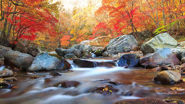 WS T/L ZI秋日古川洞山谷流水景观/江原道仁江，韩国视频素材