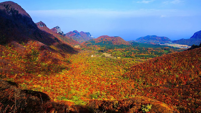 WS T/L满是五彩秋叶的Nari盆地/ Ulleung, Gyeongsangbuk do，韩国视频素材