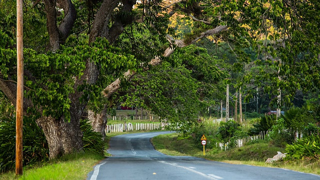 古巴乡村道路上的老爷车视频素材