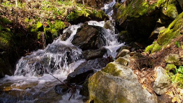 SLO MO峡谷，一条小溪穿过它视频素材