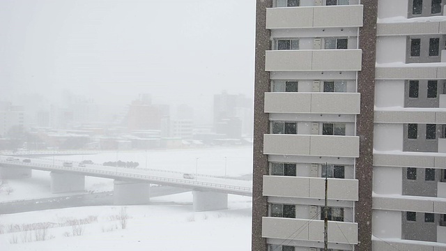 桥上有暴风雪。视频素材