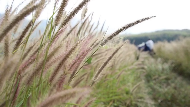 越野四轮车在田野上行驶视频素材