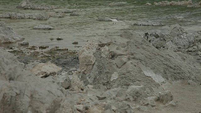 莫诺湖凝灰岩保护区视频素材